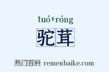 驼茸是什么意思的图片